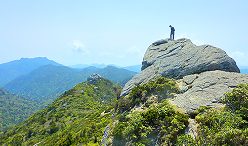 屋久島紹介